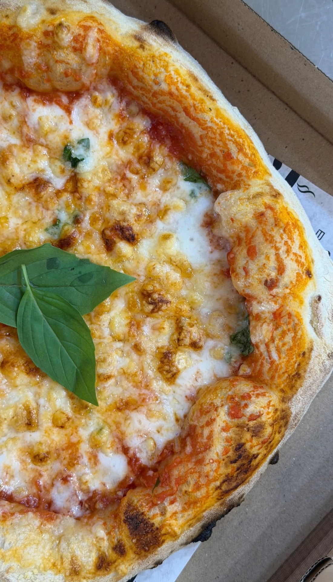 Wood-fired margherita pizza with fresh basil